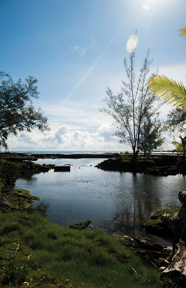 a body of water with trees and rocks