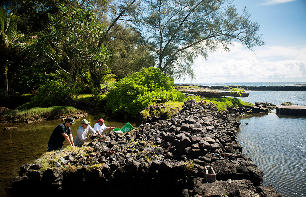 a group of people by a body of water