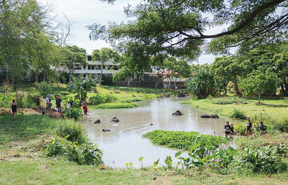 pond in a park surrounded by green grass and lush trees.