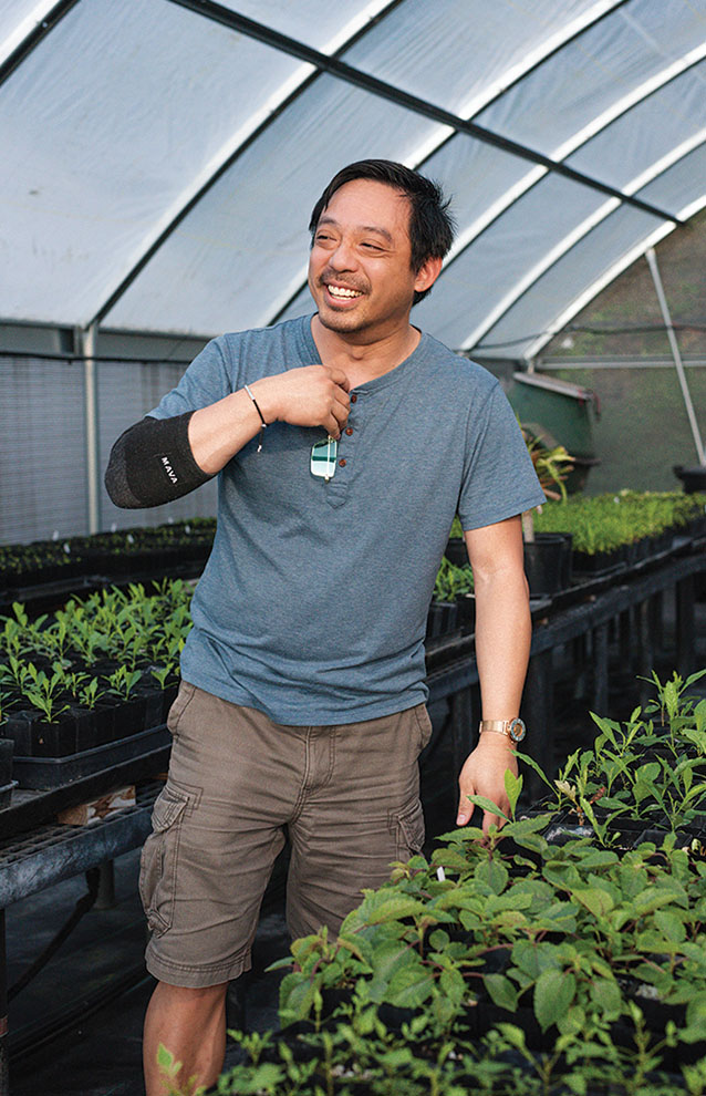 a person standing in a greenhouse