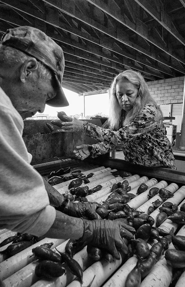 a person and person working on a machine