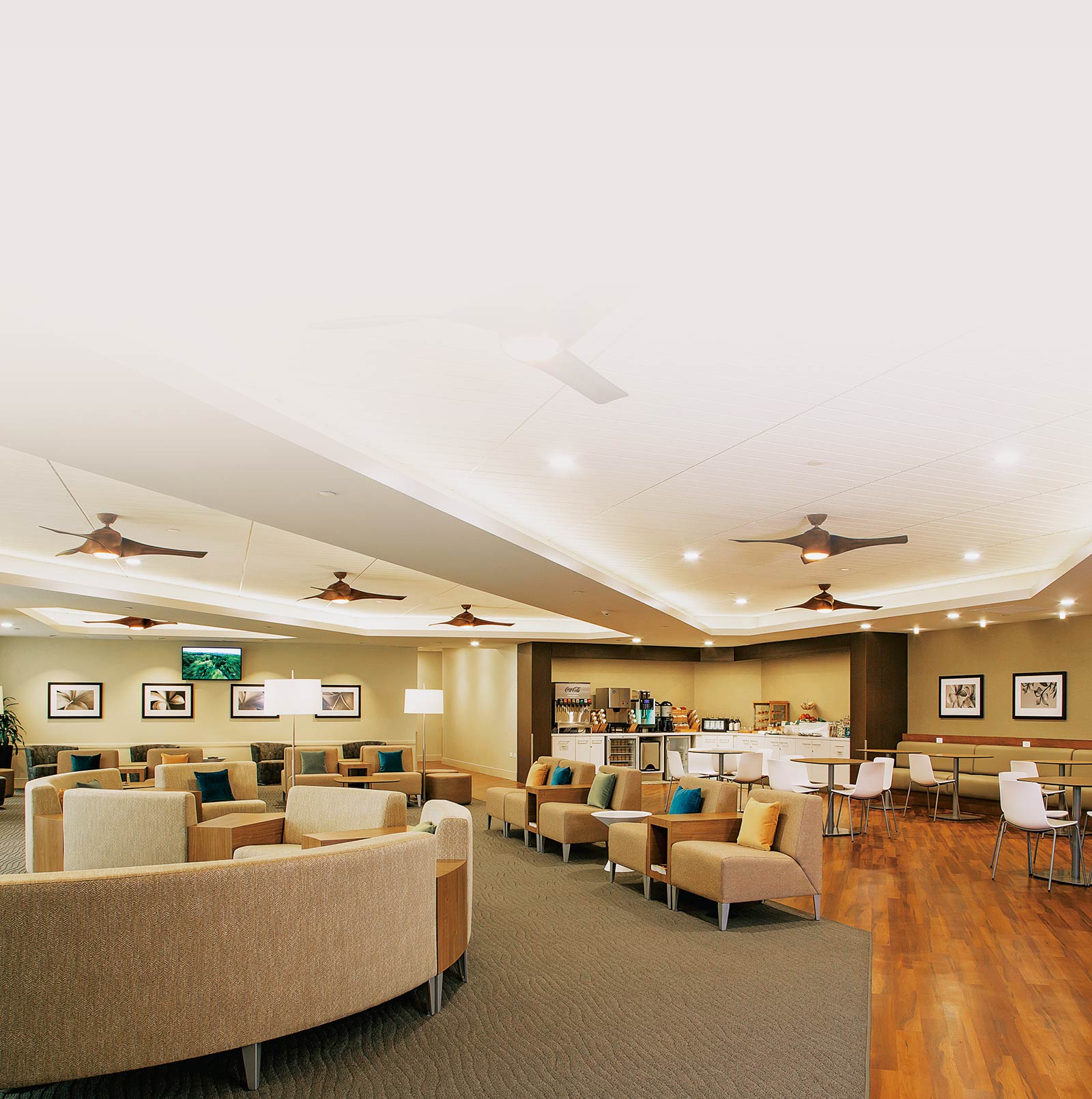 Hawaiian Airlines Premium Cabin Hawaiian Airlines